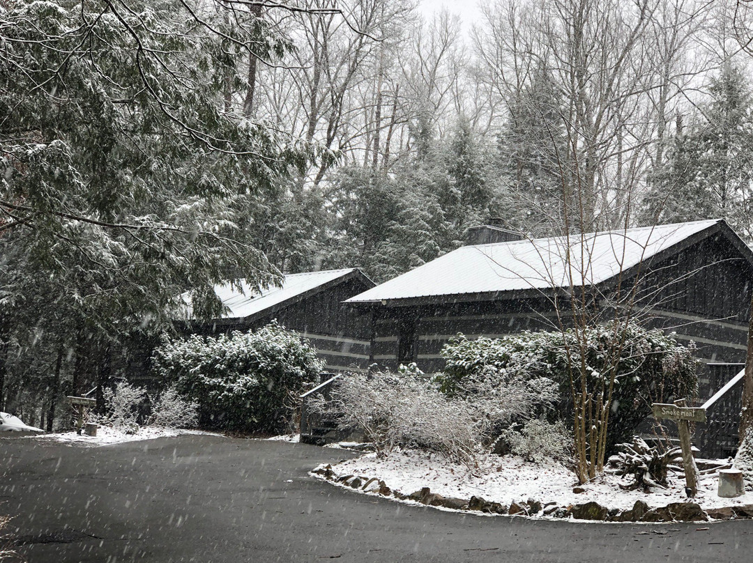 Dancing Bear Lodge主图