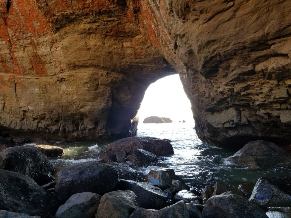 Otter Crest Marine Gardens-Otter Rock必去景点