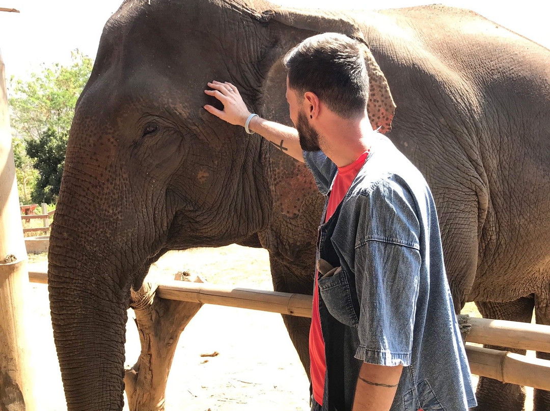 Authentic Thai Elephant Sanctuary-清迈必去景点