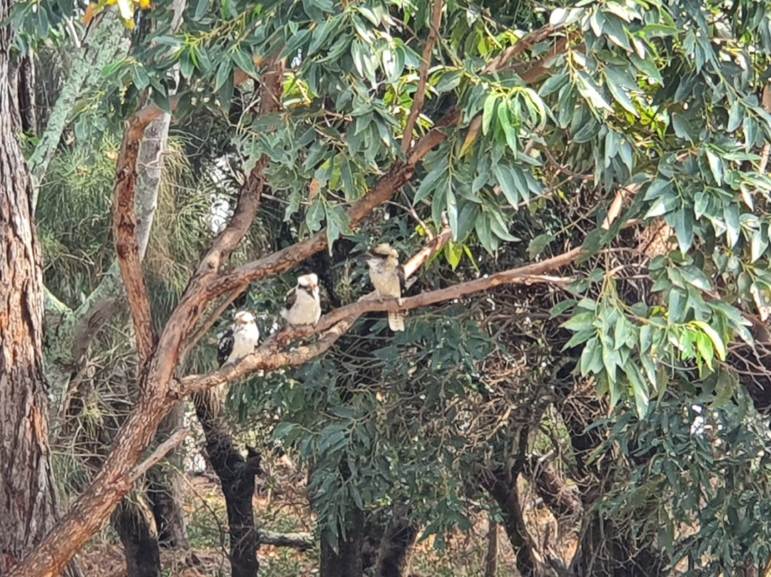 班尼斯特高级酒店主图