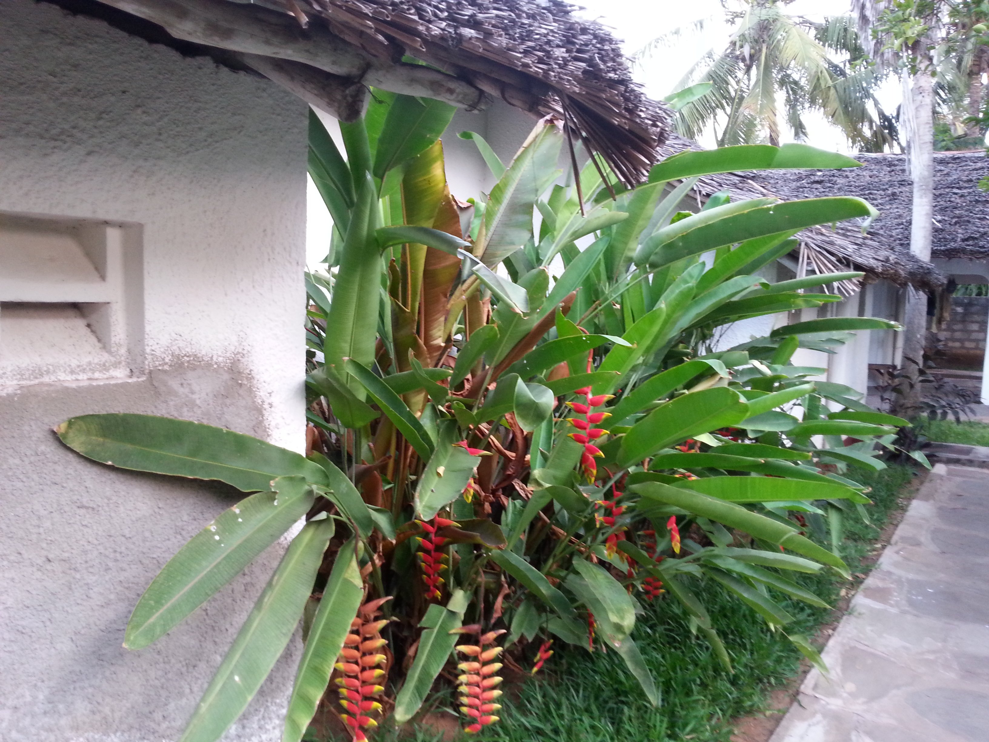 Dhows Inn-官方