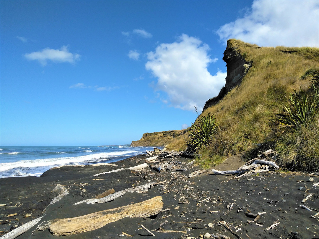Kai Iwi Beach景点图片