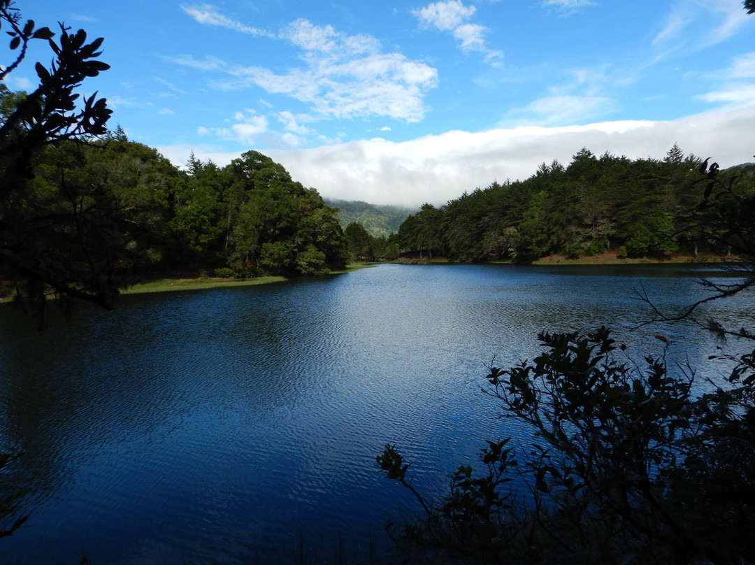 Parque National Los Quetzales景点图片