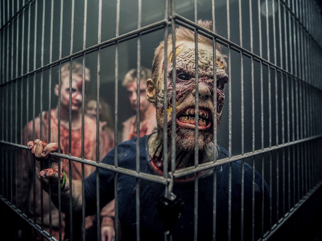 Dystopia Entertainment-瓦埃勒必去景点