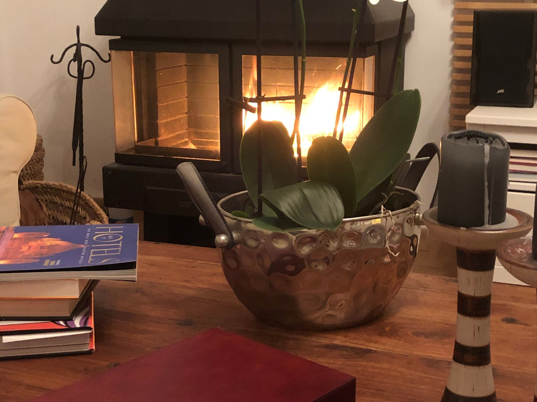 Agroturismo Fincahotel Son Pou Felanitx主图