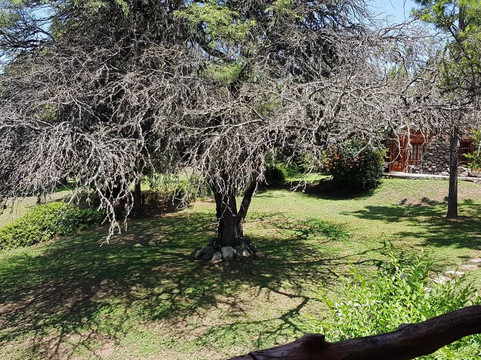 Santa Monica旅游攻略图片