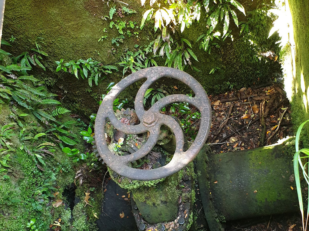 York Loop Track景点图片