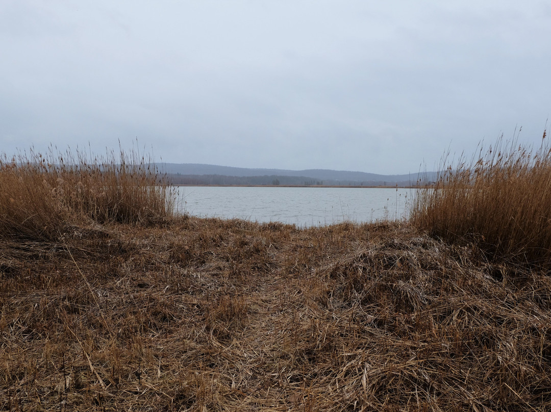 Europäisches Vogelreservat Heerter See-萨尔茨基特必去景点