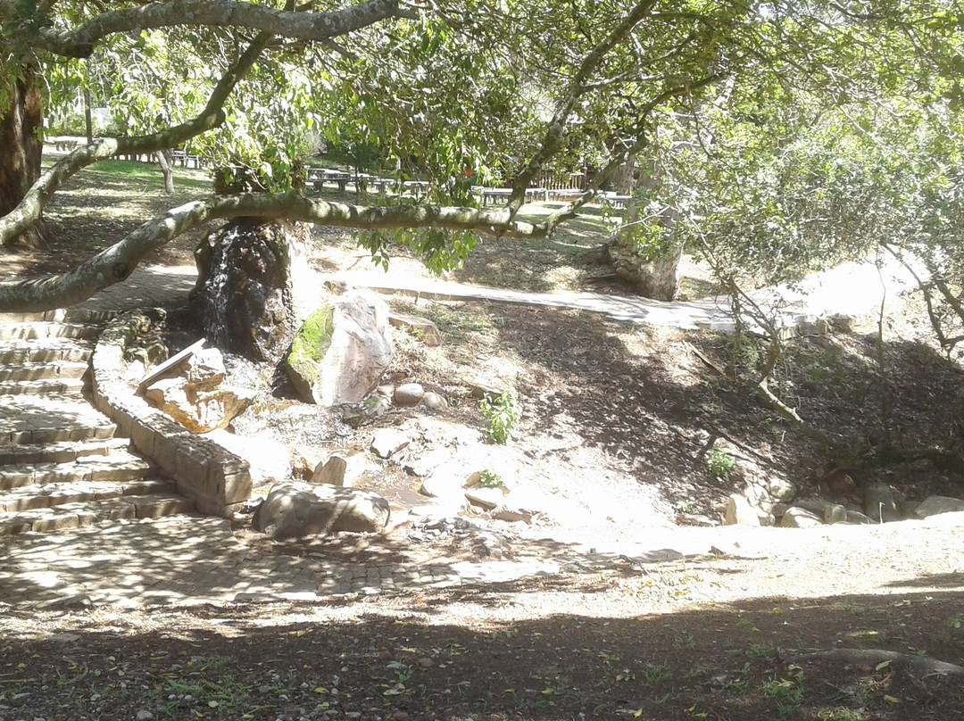 Harry Giddy Park-莫塞尔贝必去景点