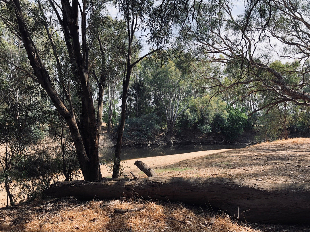 Northern Beaches-Wangaratta必去景点