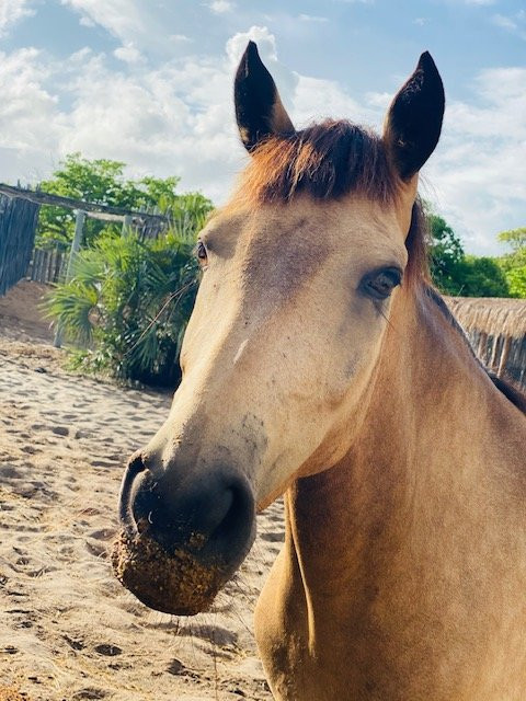 杜艮海滩旅舍主图