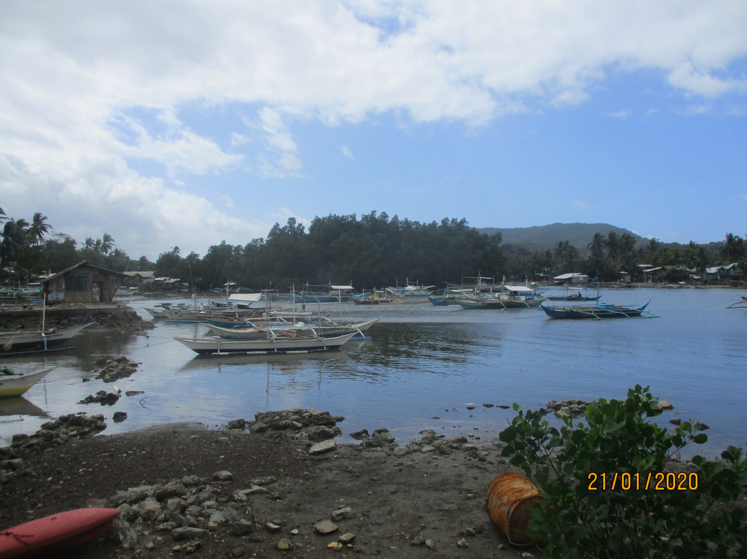 Bucana Beach-爱妮岛必去景点