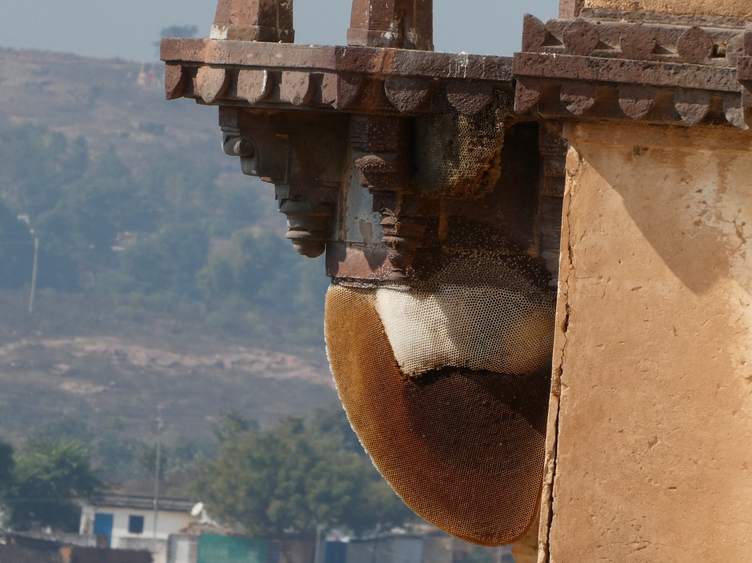 Chaturbhuj Temple景点图片