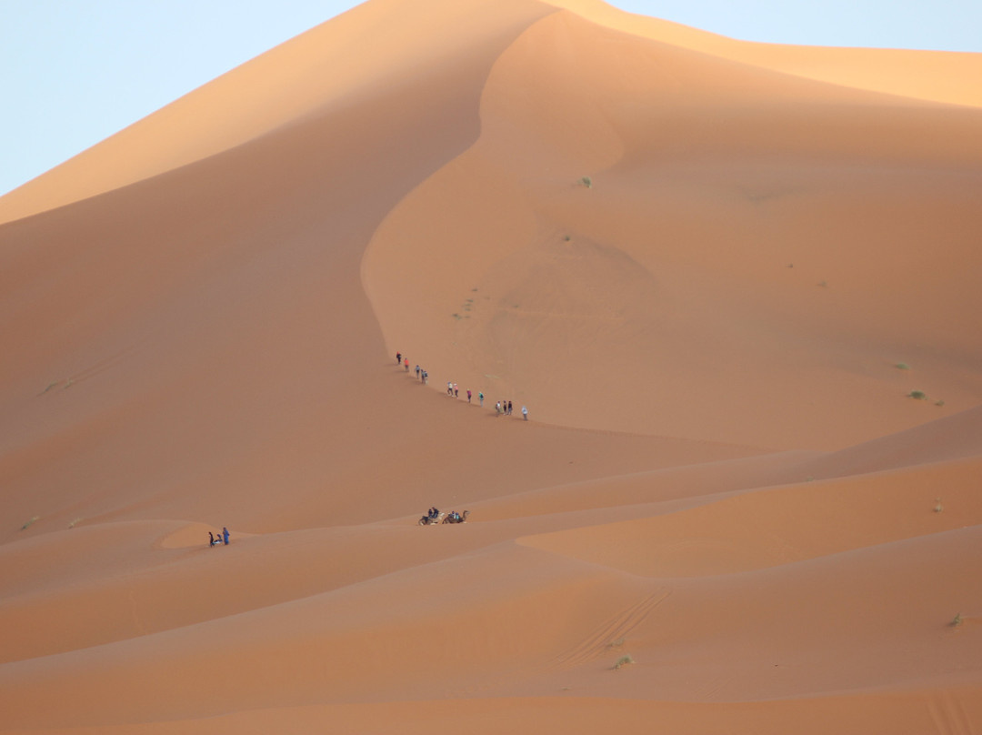 Sahara Welcome景点图片
