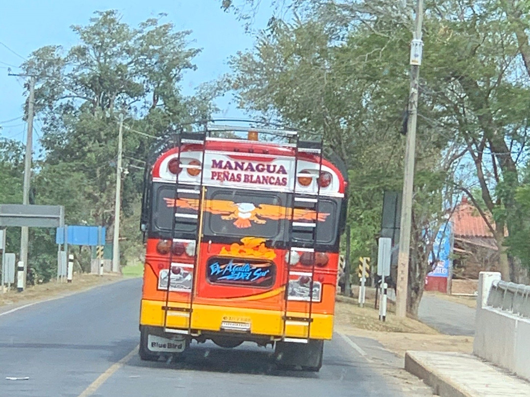 Plus Papagayo Tours and Transfers景点图片