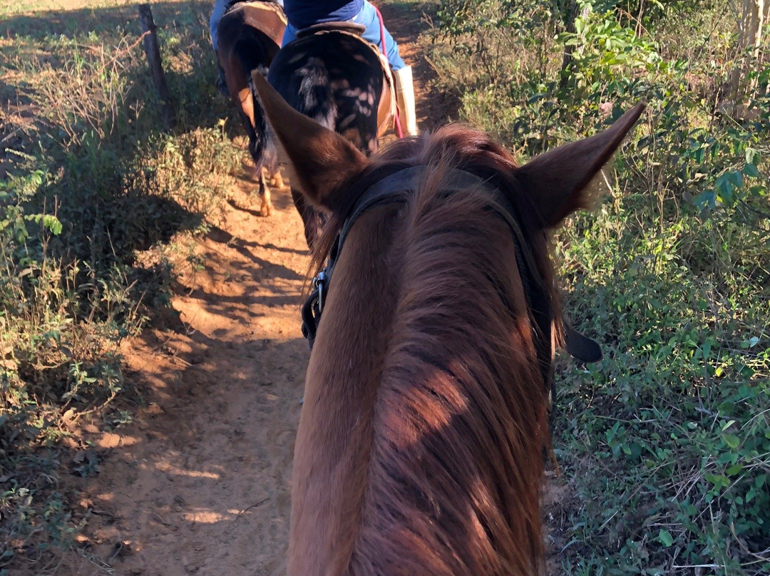 Horse Ride Viñales景点图片