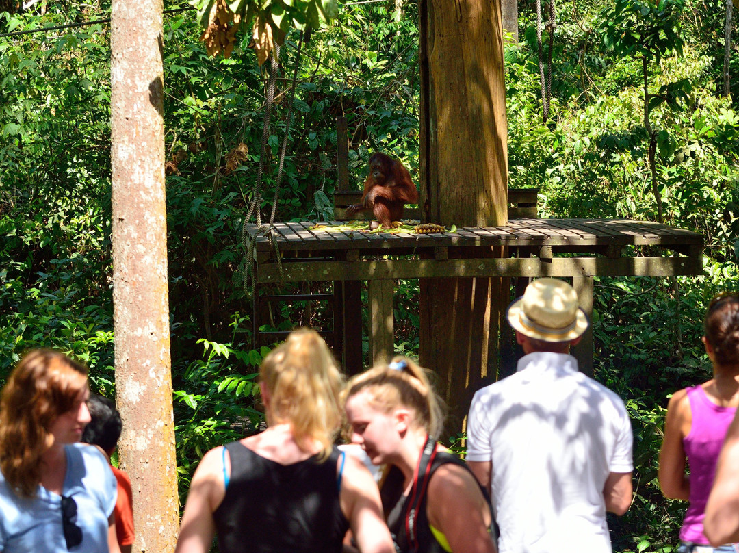 Borneo Beyond Adventure-亚庇必去景点