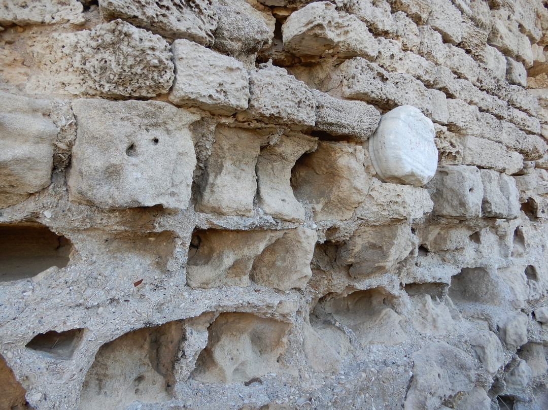 Ashkelon national park景点图片