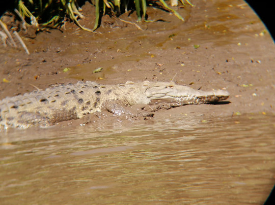 Orly Tours-塔马林多必去景点