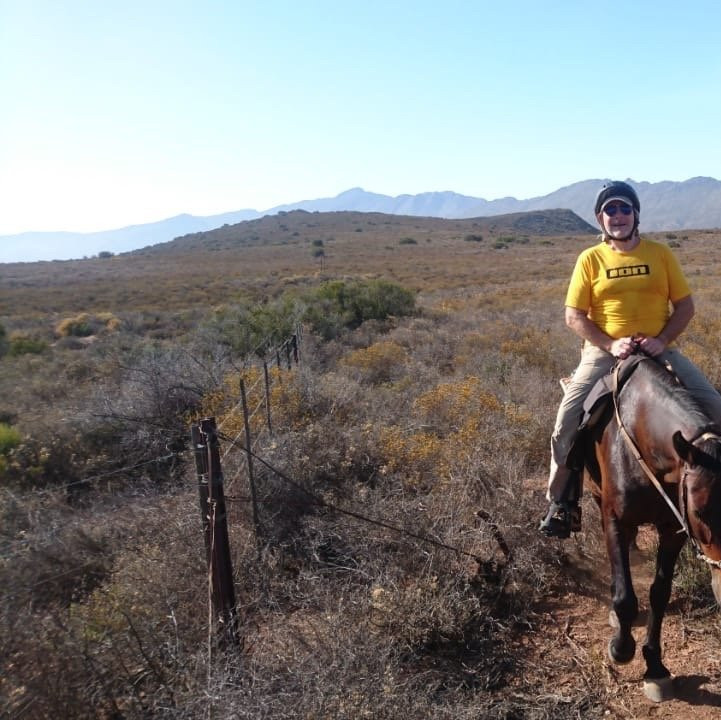 Heidiland Horseback Adventures-蒙提古必去景点