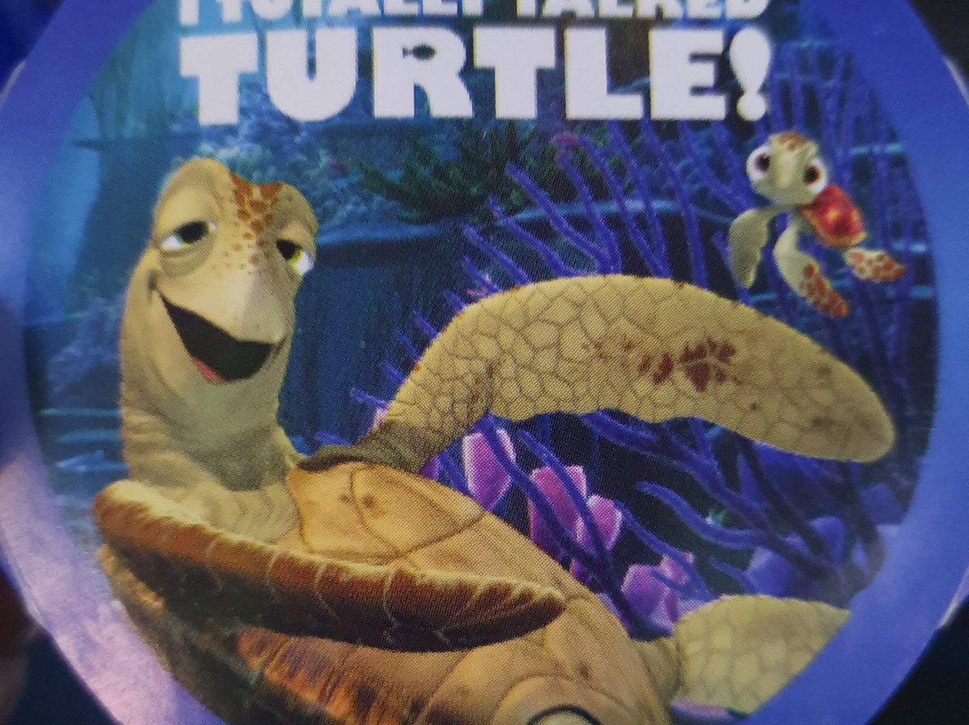 Turtle Talk with Crush-阿纳海姆必去景点