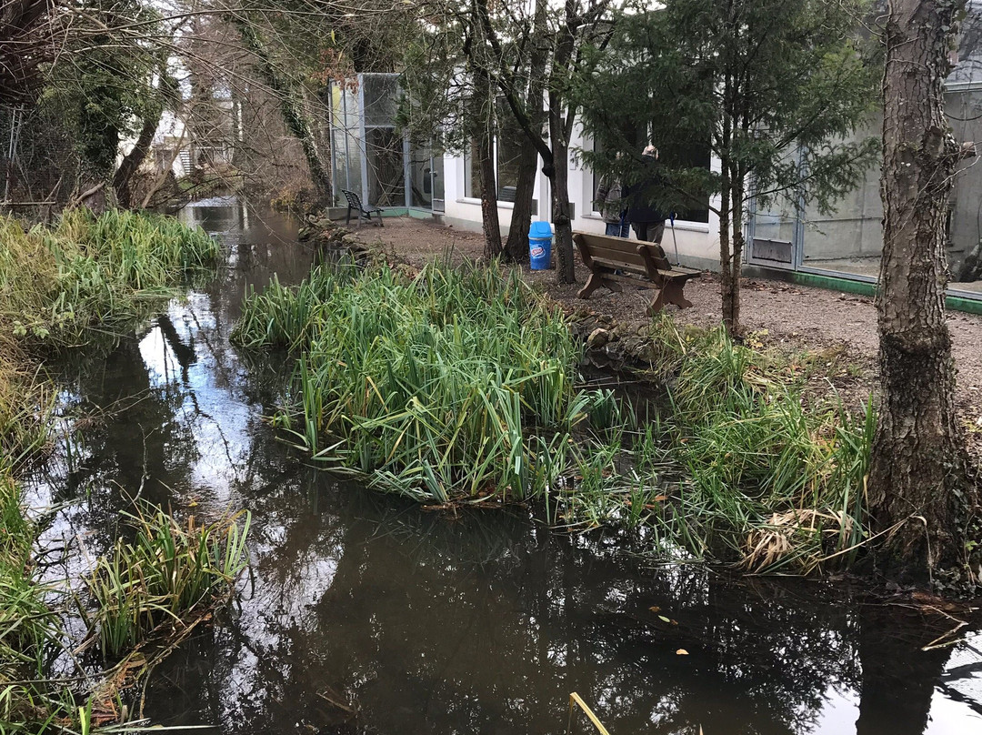 Wasserstern景点图片