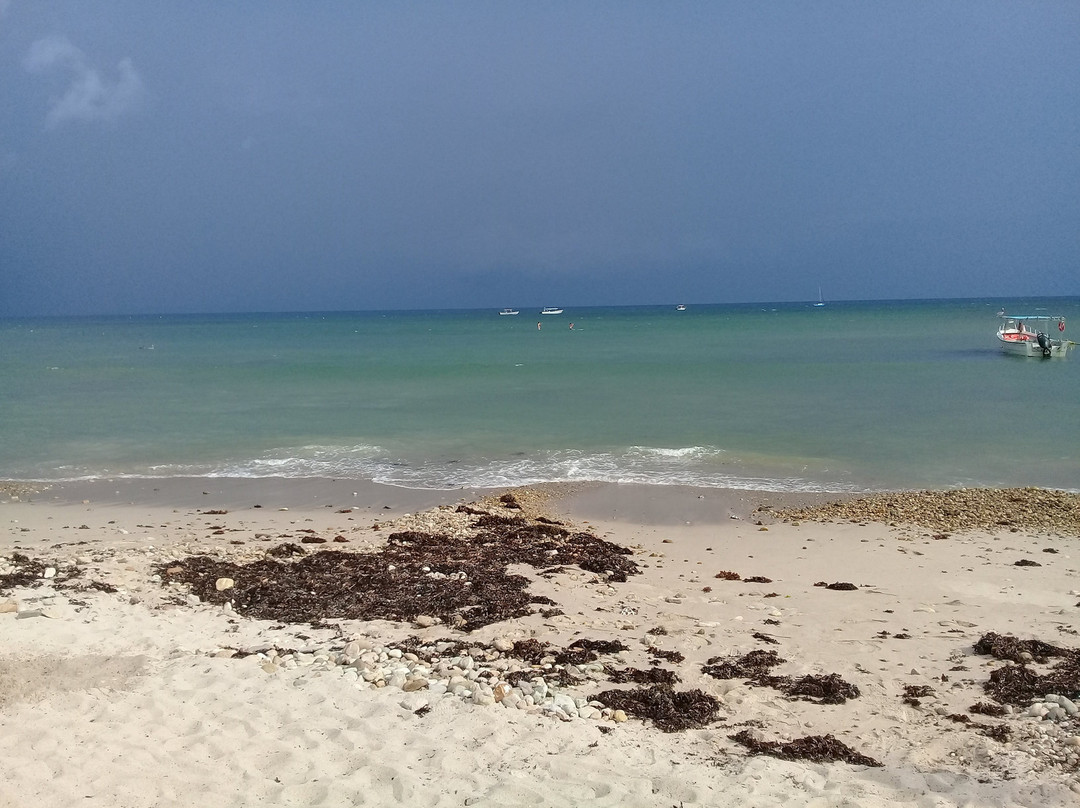 Playa Punta De Mita景点图片