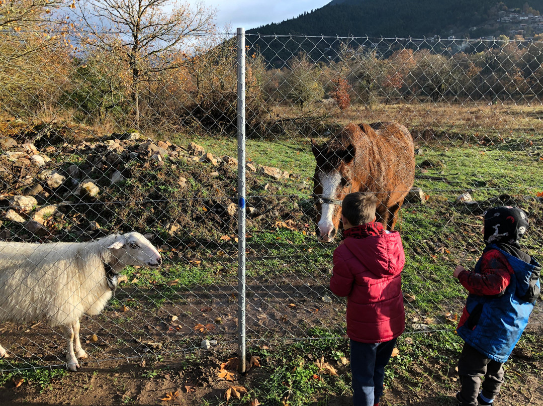 Ninemia Stay& Play主图