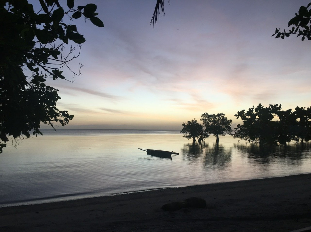 Southern Leyte Divers主图