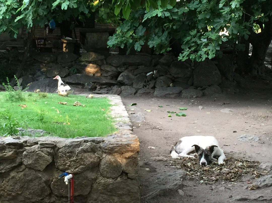 El Puesto de Ferreyra-圣哈维尔必去景点