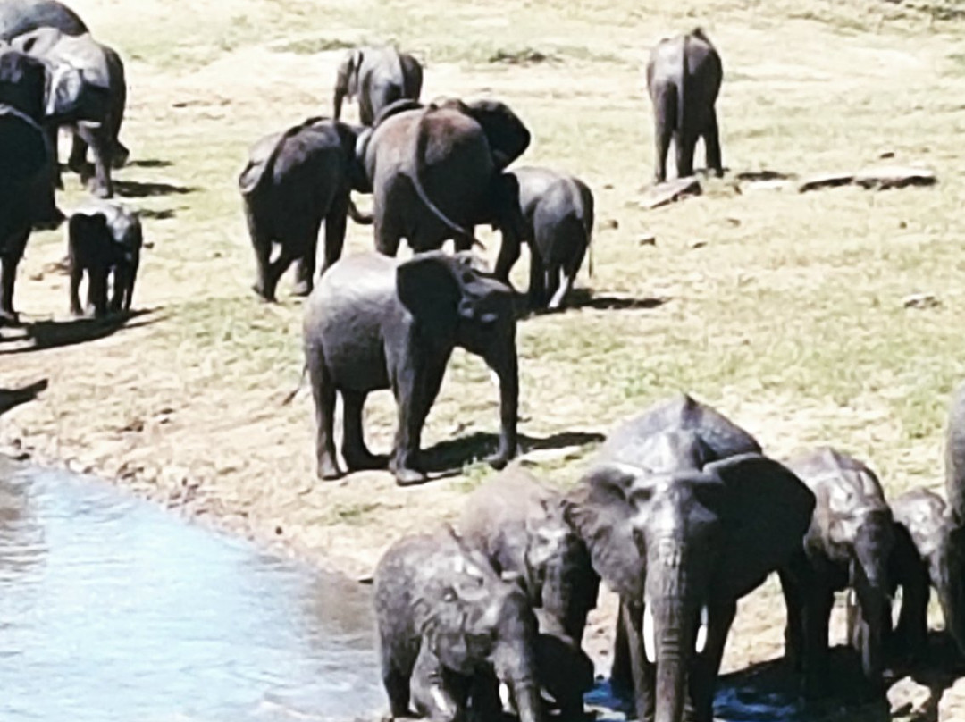 South African National Parks-白河必去景点