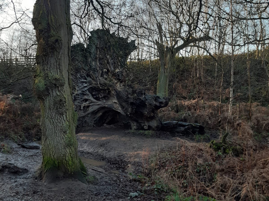 Haughmond Hill-什鲁斯伯里必去景点