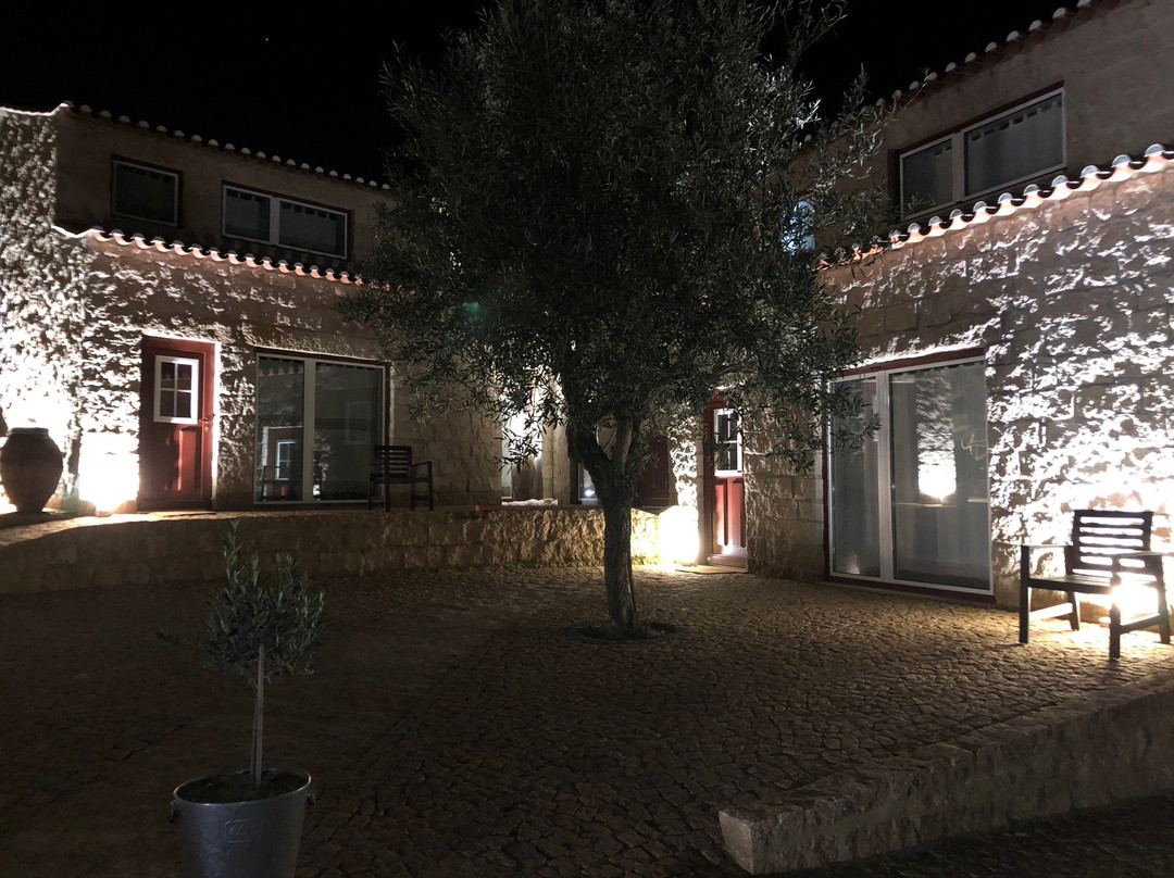 Aromas dos Salgueiros主图