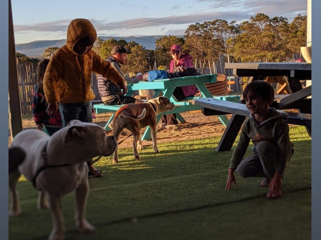 Freycinet Paintball & Campground景点图片