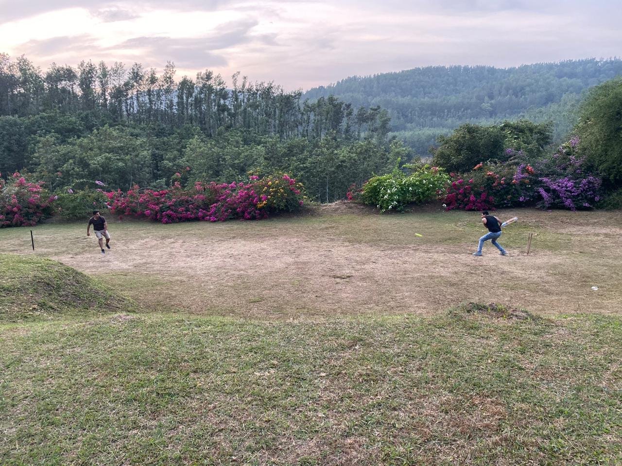 Coffee Terrain Homestay-官方