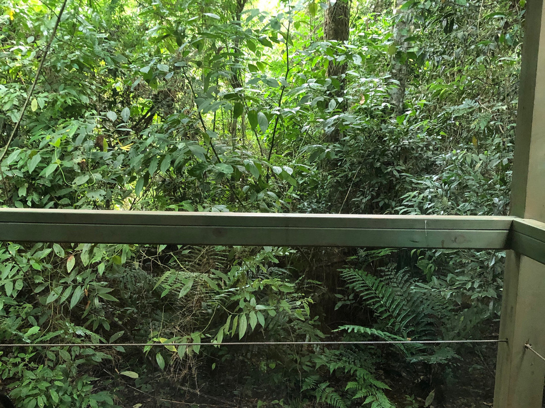 La Reserva Virgin Lodge主图