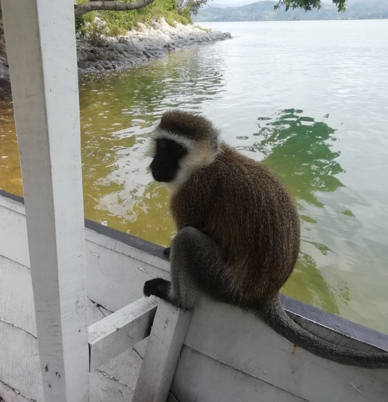 Patrick eco tours-Kibuye必去景点