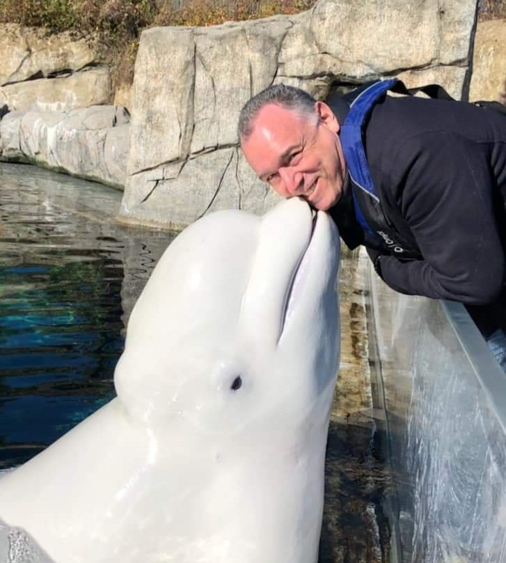 Mystic Aquarium-神秘河必去景点