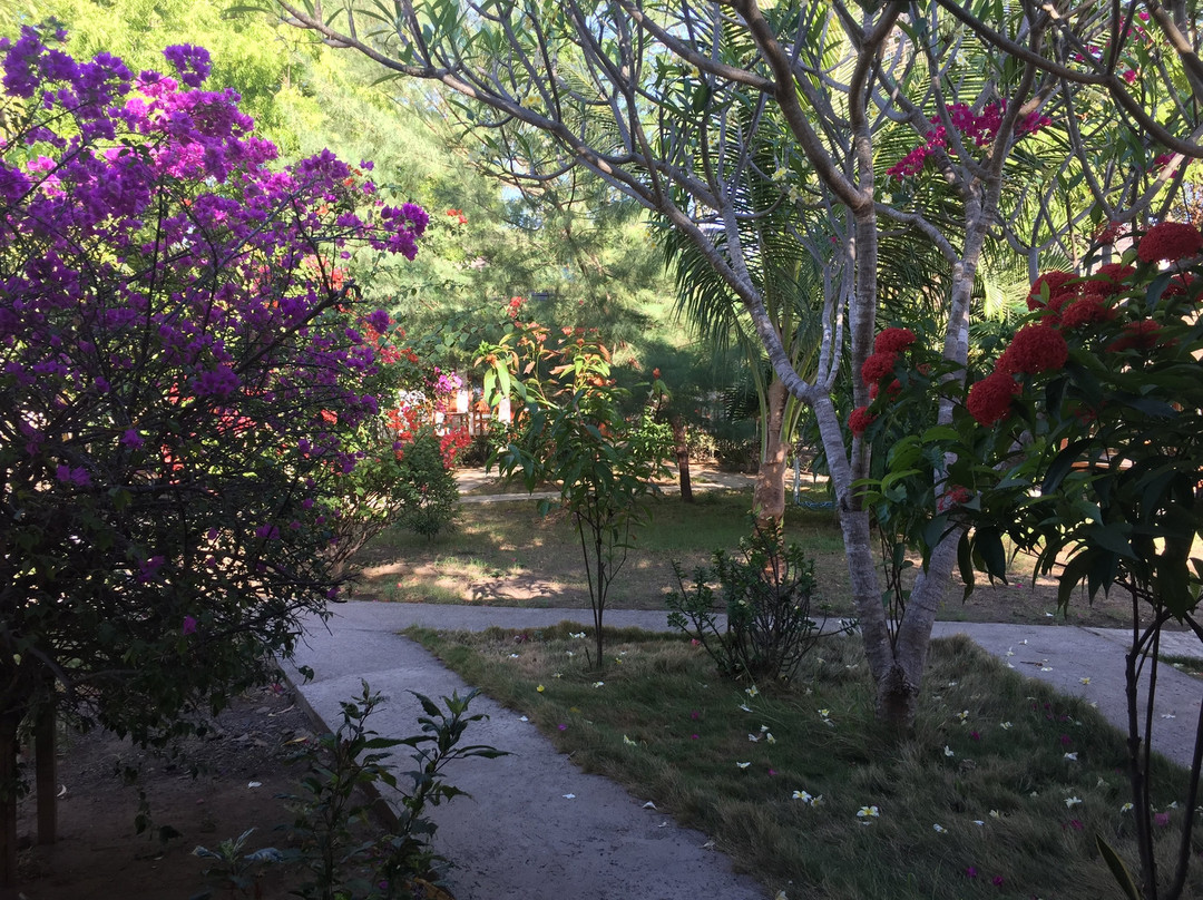 Bidara Cottage主图