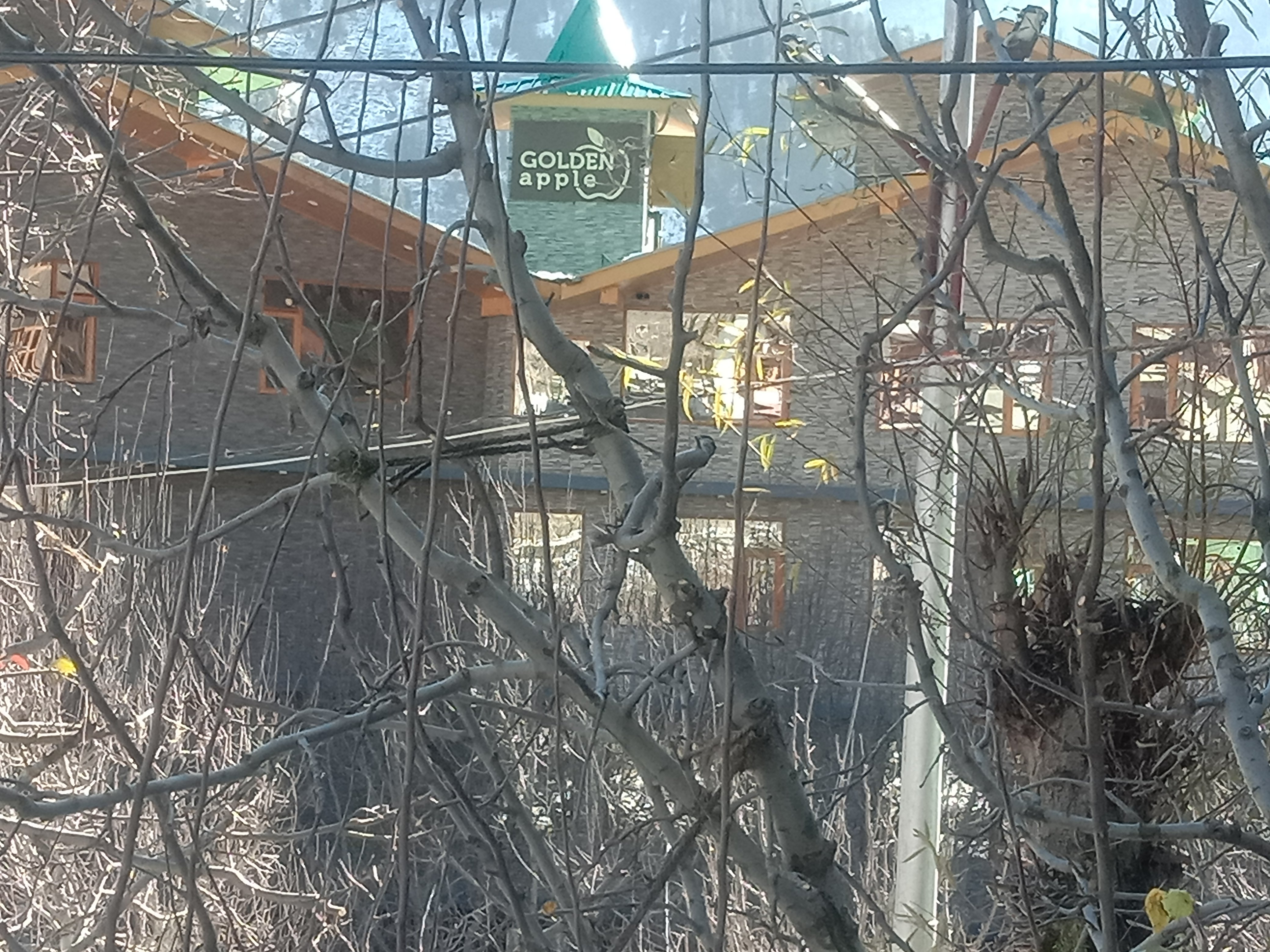 Hotel Golden Apple Kalpa-官方