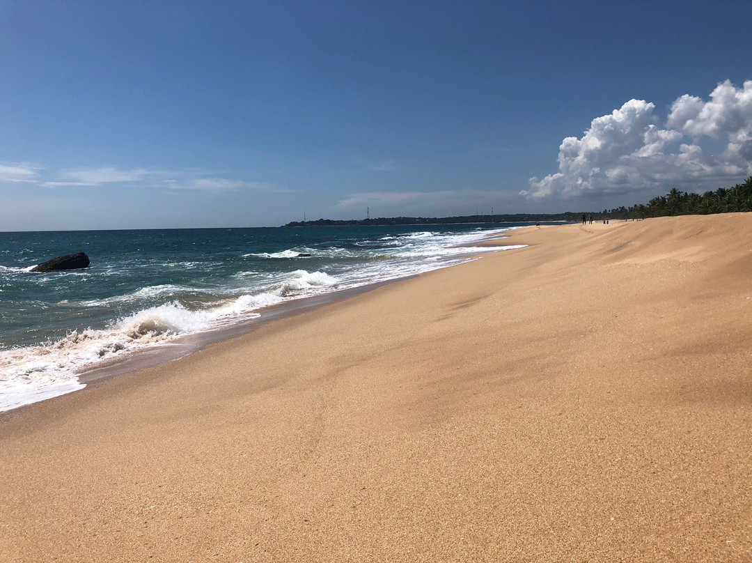 Marakolliya Beach景点图片