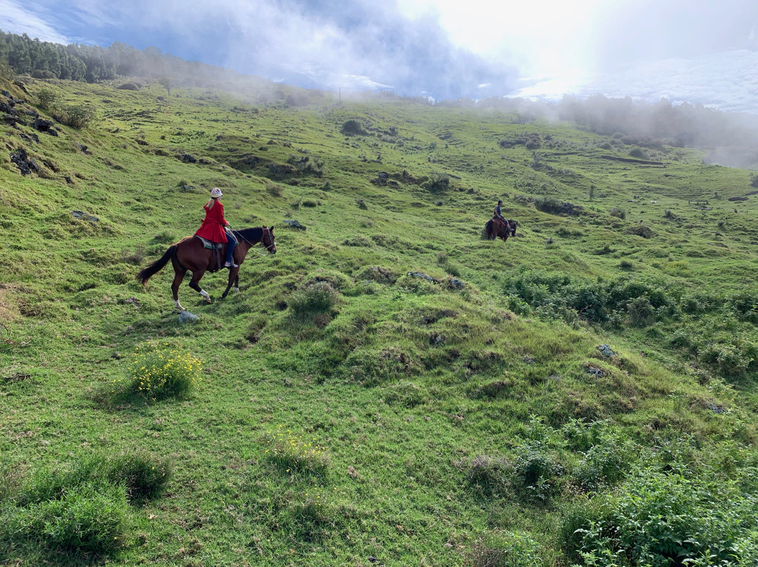 Thompson Ranch Riding Stables-库拉必去景点