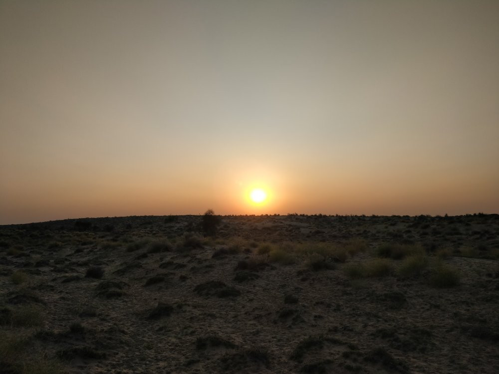 Rumis Camel Safari-杰伊瑟尔梅尔必去景点