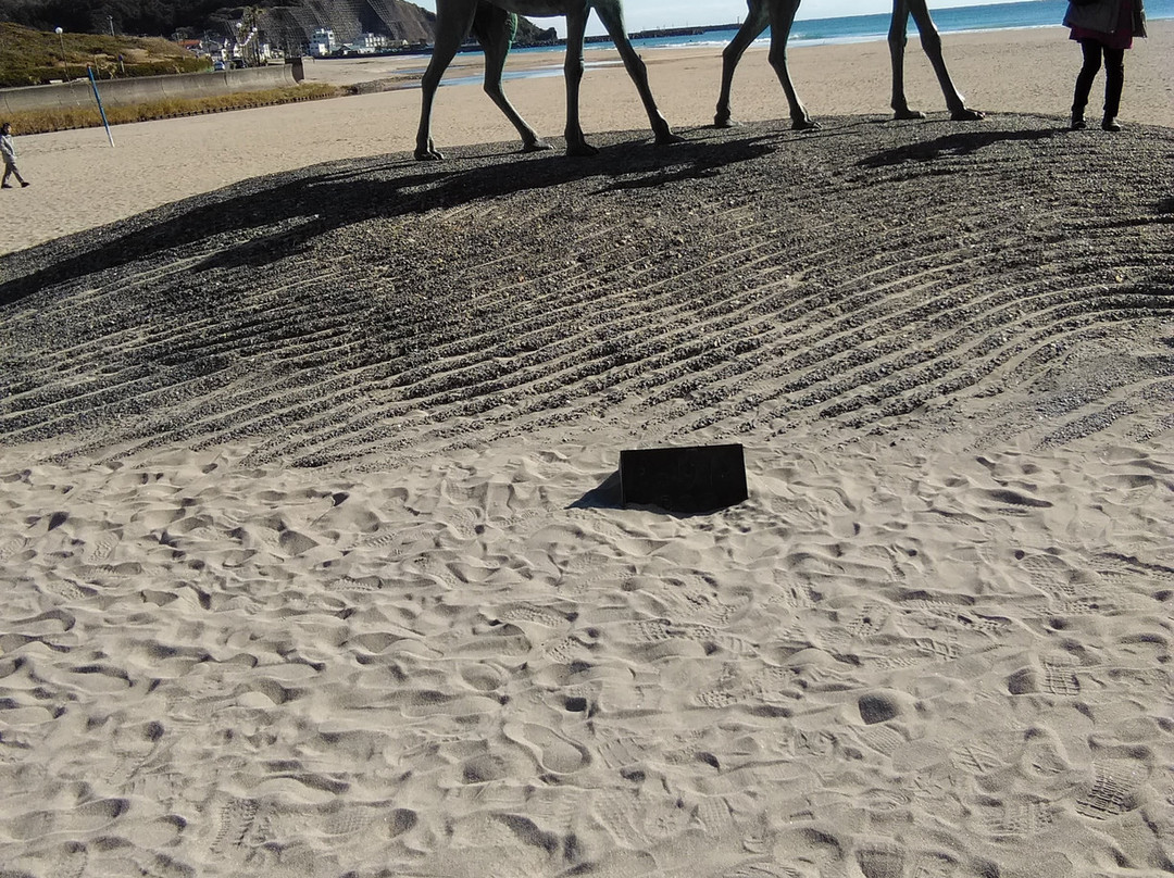 Tsuki-no-Sabaku Memorial Park-御宿町必去景点