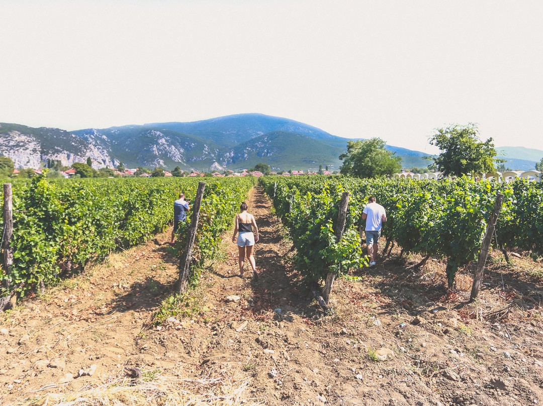 Royal Winery Queen Maria-Demir Kapija必去景点