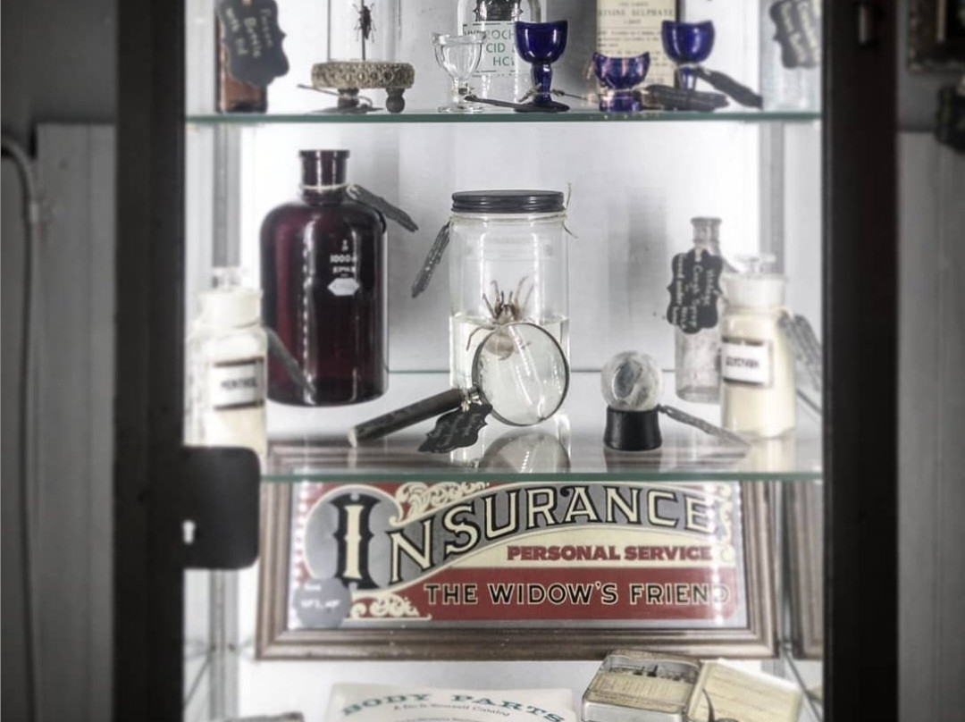 Dark Matter Oddities & Artisan Collective LLC-新奥尔良必去景点