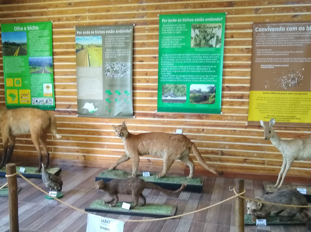 Parque Estadual Porto Ferreira-Porto Ferreira必去景点