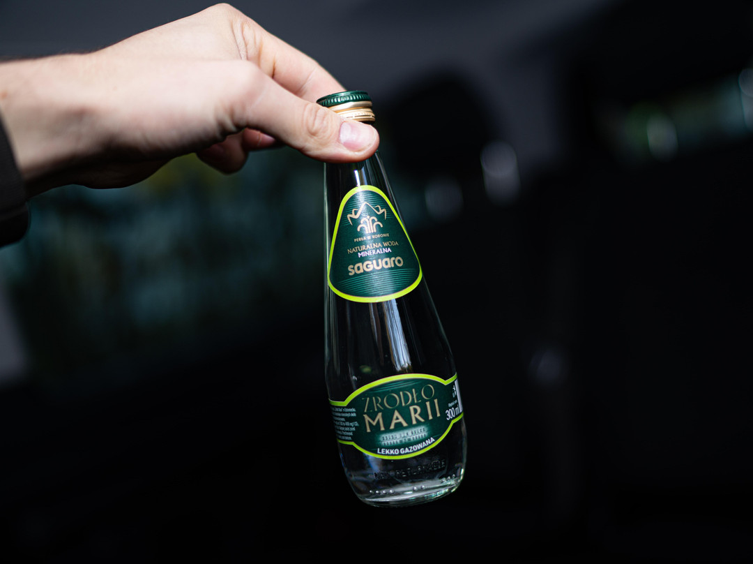 Gdansk Airport Taxi & Transfers - Private sightseeing Tour-格但斯克必去景点