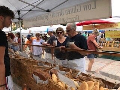 Downtown Fort Pierce Farmer's Market-匹尔斯堡必去景点
