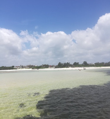 Vera Africa Tours And Safaris-瓦塔木必去景点